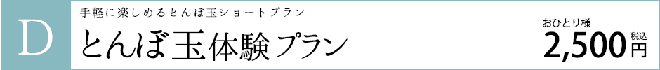Dコース　手軽に楽しめるとんぼ玉ショートプラン　とんぼ玉体験プラン　お一人様2,500円（税込）