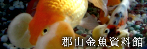 郡山金魚資料館