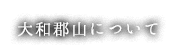 大和郡山について